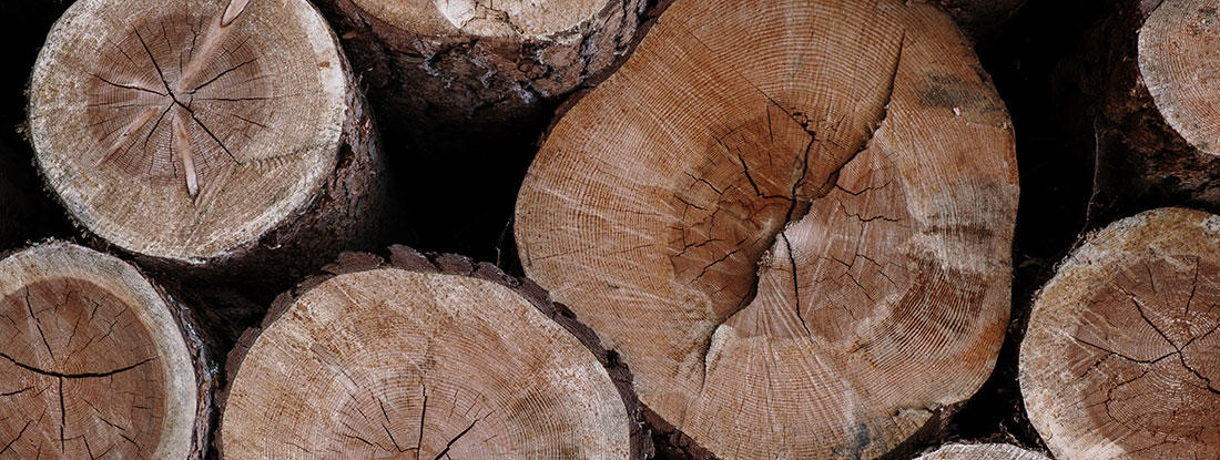 Wat zegt de duurzaamheidsklasse over je hout? 
