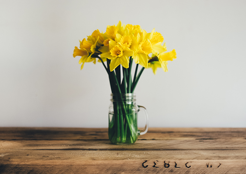 Tip van Katrien #7 - Kleurig de lente in