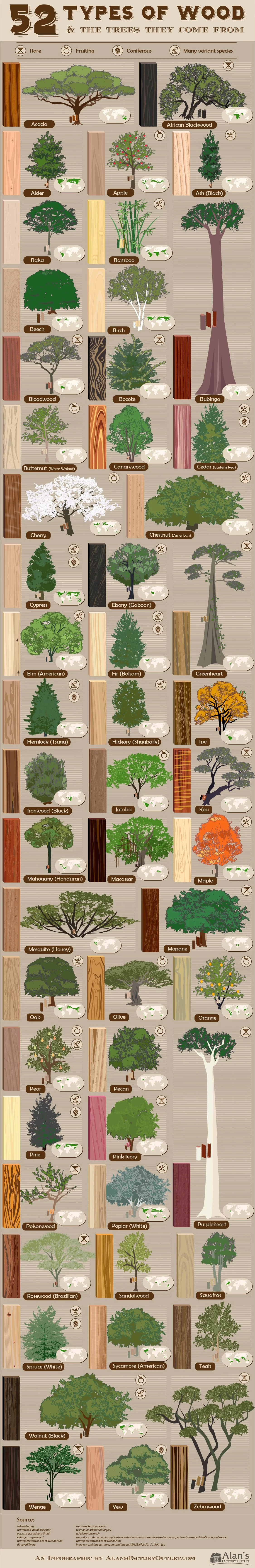 Houtwijzer: 52 houtsoorten en waar ze vandaan komen